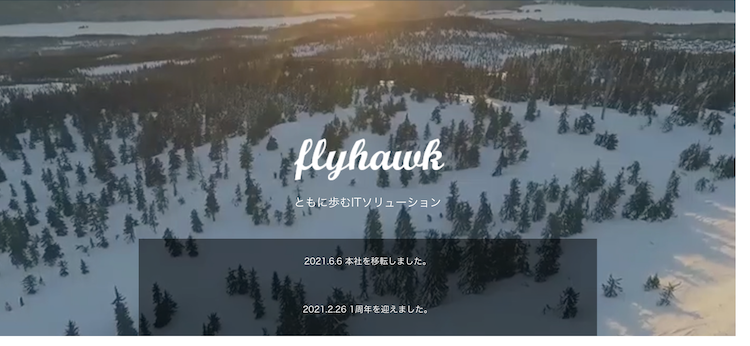 flyhawk_top